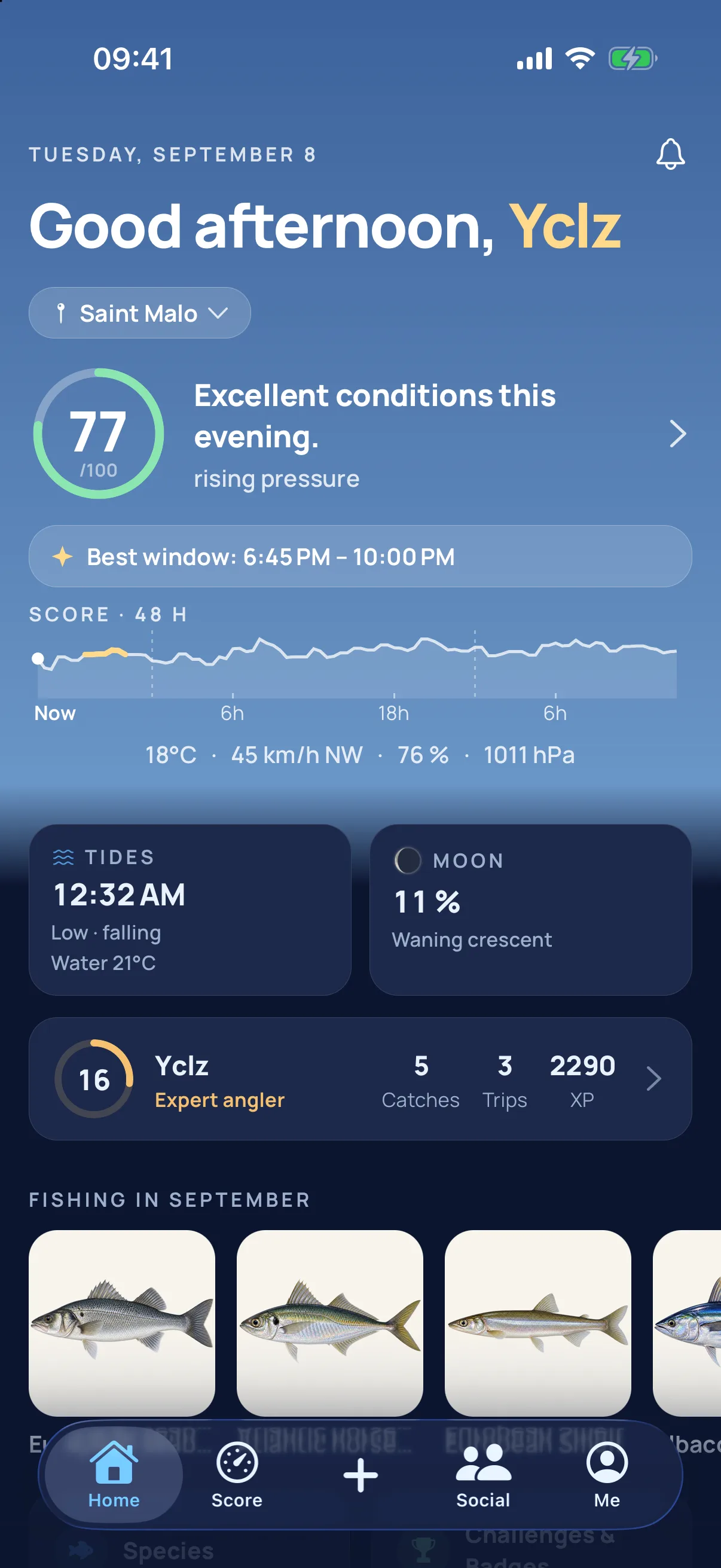 Piscary home screen — today’s score and last catch
