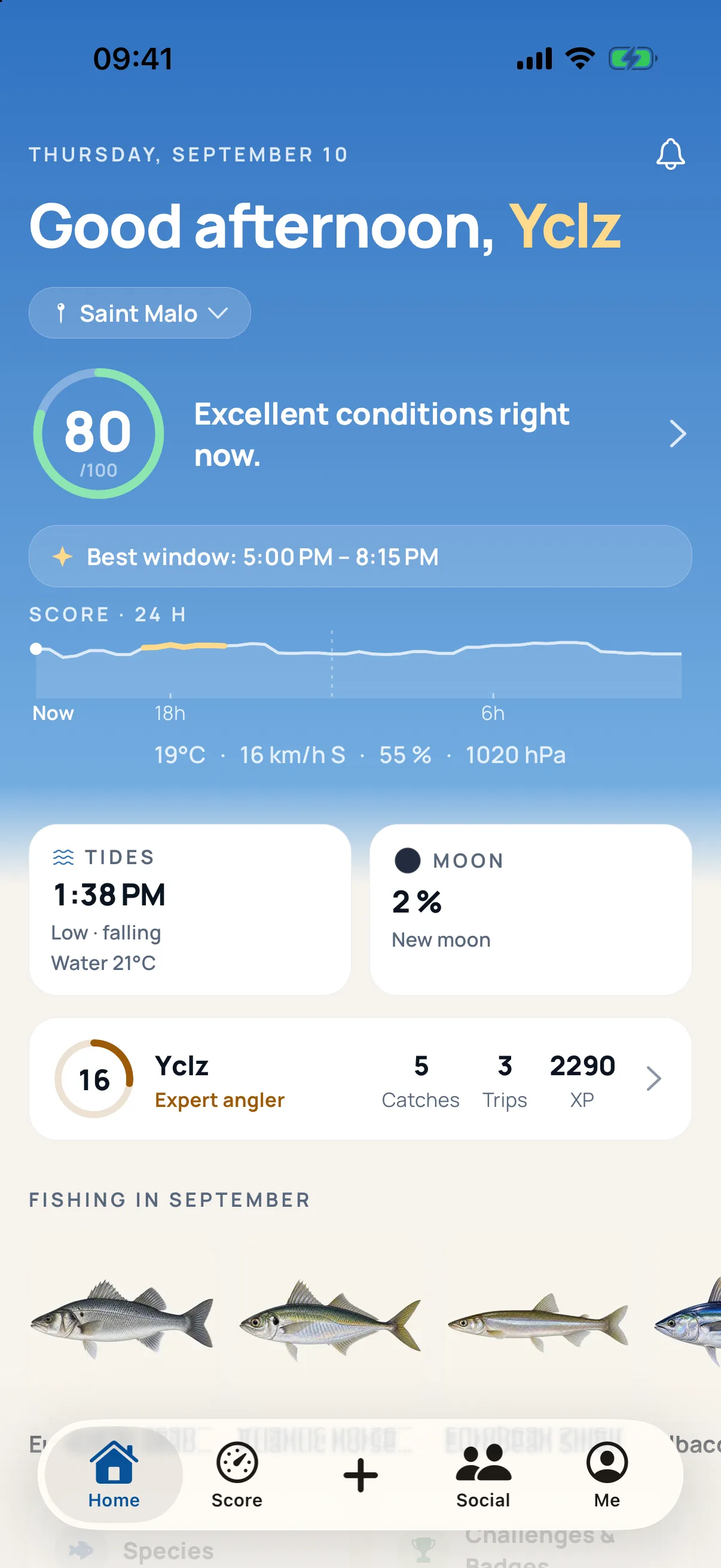 Piscary home screen — today’s score and last catch