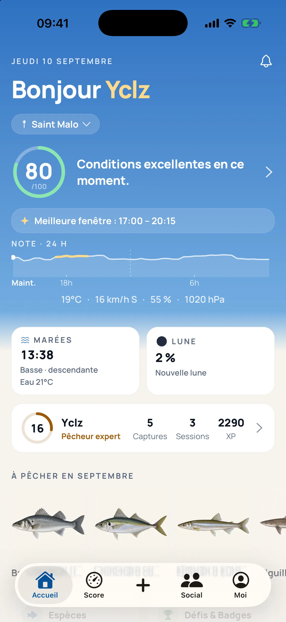 Écran d’accueil de Piscary — score du jour et dernière prise