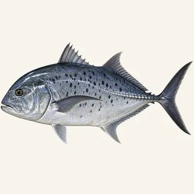 Giant trevally