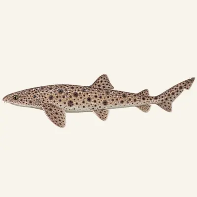 Nursehound